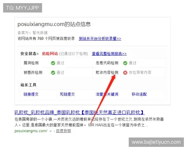 星城we集团网址访问流程详解，帮助新用户轻松找到正确入口